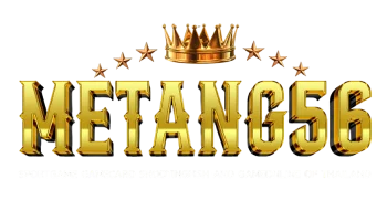 METANG56 เว็บพนันออนไลน์ สล็อต บาคาร่า หวย บอล ครบ